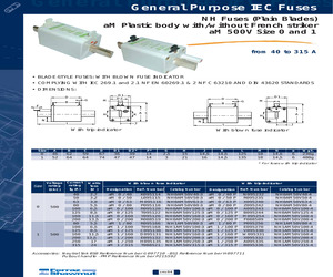 NH0AM50V100-4.pdf