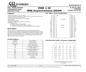 GS74116.pdf