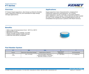 FTW0H104ZF.pdf