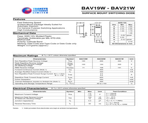 BAV19W.pdf