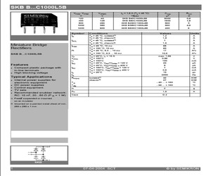 SKBB40C1000L5B.pdf