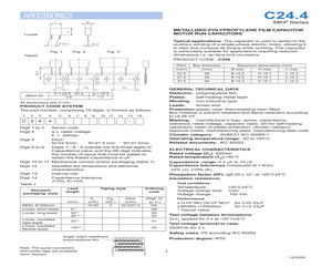 C244R43004001K.pdf