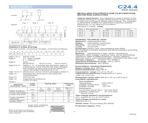 C244W49504002K.pdf