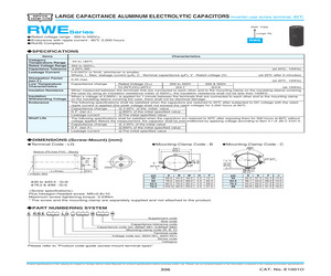 ERWE551LGN101MA50M.pdf