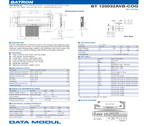 BT120032AVB-COG.pdf