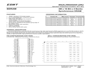 M12L2561616A-6BIG2K.pdf