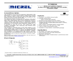 SY58021UMG TR.pdf