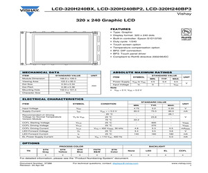 LCD-320H240B-RGI-VP2.pdf