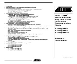 ATMEGA162L.pdf