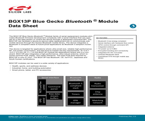 BGX13P22GA-V21.pdf