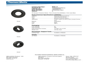 BSS-17.pdf