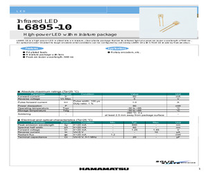 L6895-10.pdf