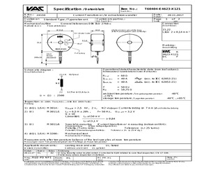 T60404-E4623-X121.pdf