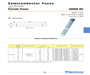 CC4000CPGRC36X400/0.8.pdf