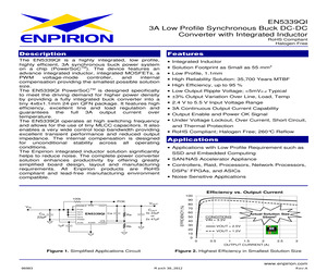 EN5339QI-E.pdf