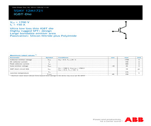 5SMY12M1721.pdf