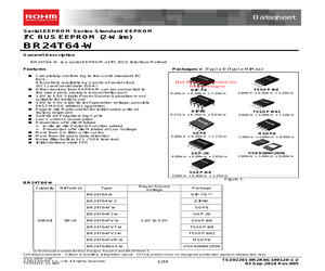 BR24T64-WZ.pdf