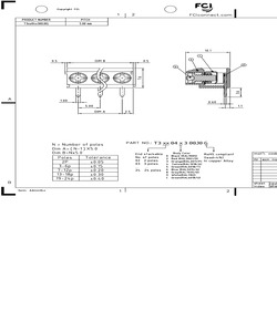 T304045300J0G.pdf