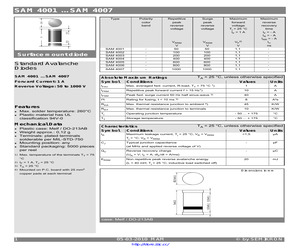 SAM4001.pdf