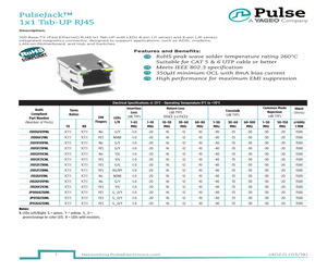 J1006F01PNL.pdf