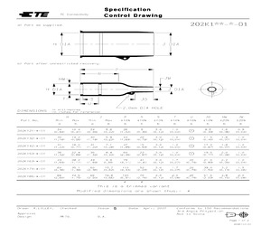 202K142-25-01-0.pdf