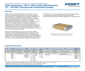 C1206C101F1HACTU.pdf