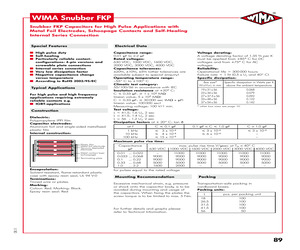 SNFPO13680SPB8MS00.pdf