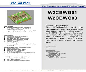 W2CBWG03.pdf