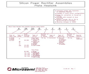 E21100N1EB1S.pdf