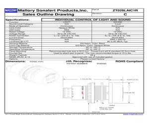 ZT028LAIC1R.pdf