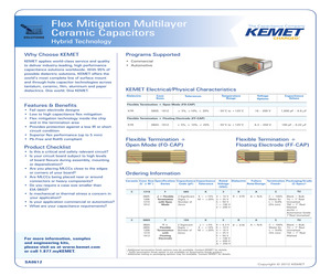 C1210F155K1RAC.pdf