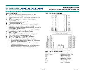 DS1250Y-100IND+.pdf