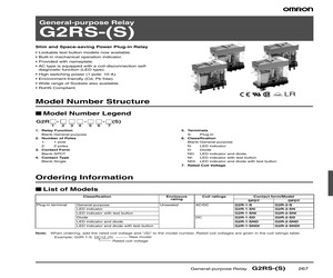 G2R-1-SD DC24(S).pdf