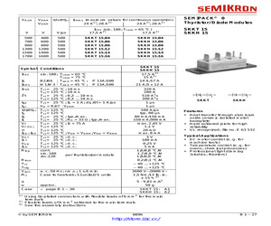 SKKH15/08E.pdf