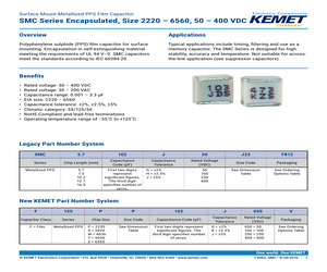 46KI3100JPM1M.pdf