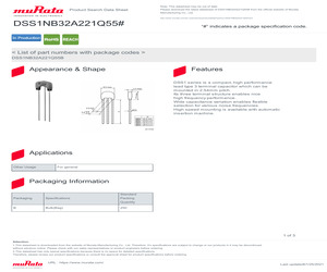 DSS1NB32A221Q55B.pdf