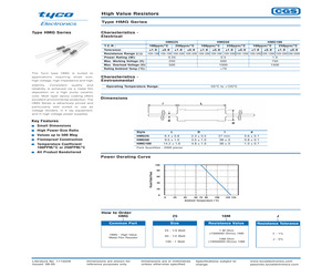 HMG10043MJ.pdf