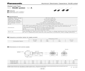 ECEA1HN101U.pdf