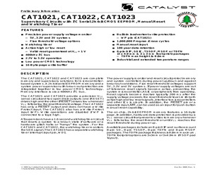 CAT1021LE-25TE13.pdf