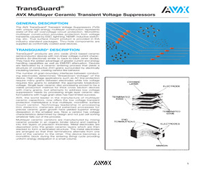 VC060326A580RM.pdf