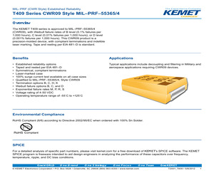 CWR09KB106KCB.pdf