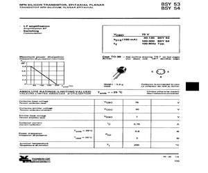 BSY53.pdf