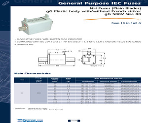 NH00GG50V125-3.pdf