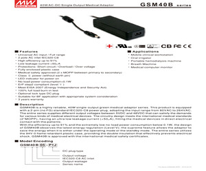 GSM40B07-P1J.pdf