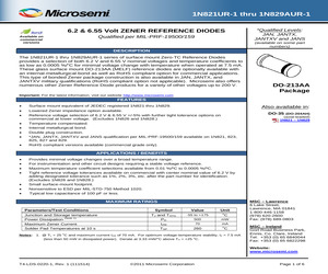 1N821AUR-1-2%E3.pdf