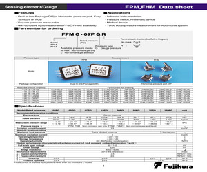 FPM-120PGR.pdf