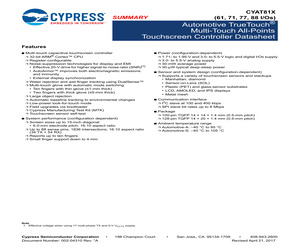 CYAT81688-128AS88.pdf