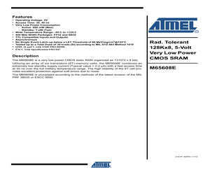 MM065608EV-30-E.pdf