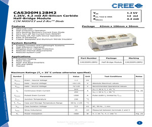 CAS300M12BM2.pdf