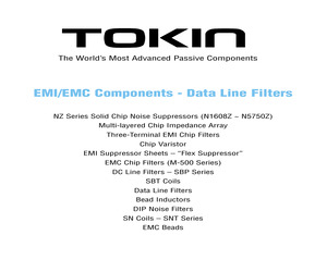 ESD-FPL-20-15.pdf